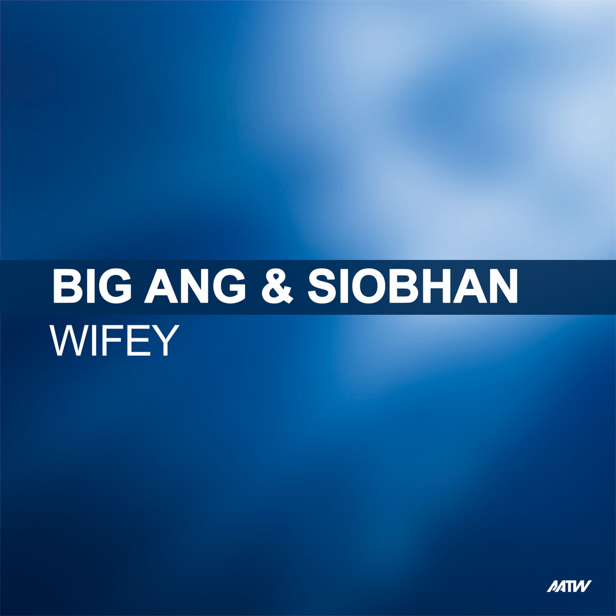 Album cover of Wifey