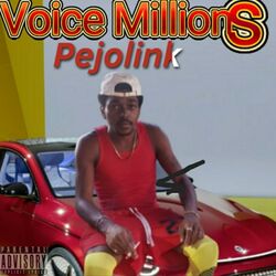 Cover of Voice Millions