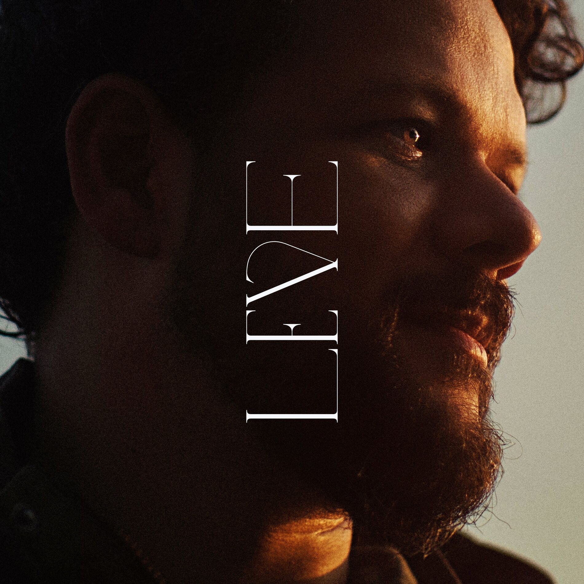 Album cover of Leve