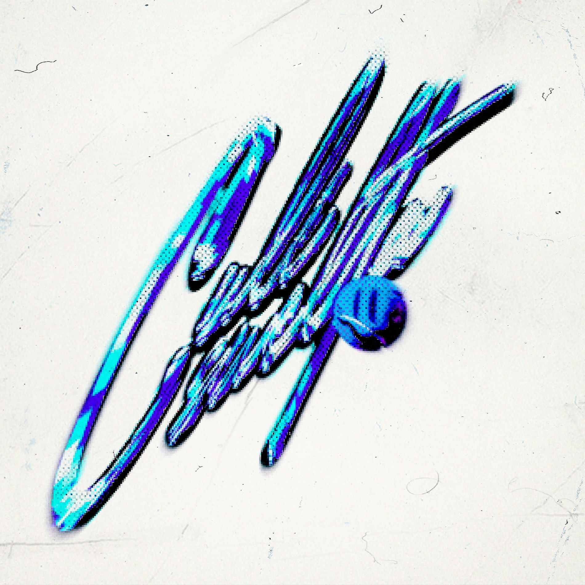 Album cover of CULISUELTA (feat. Lleflight, ITHAN NY)