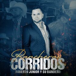 Cover of Rancheras Y Corridos