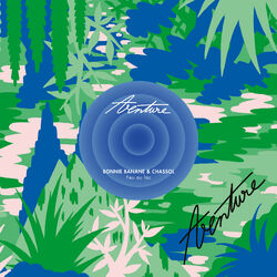 Cover of Feu au lac