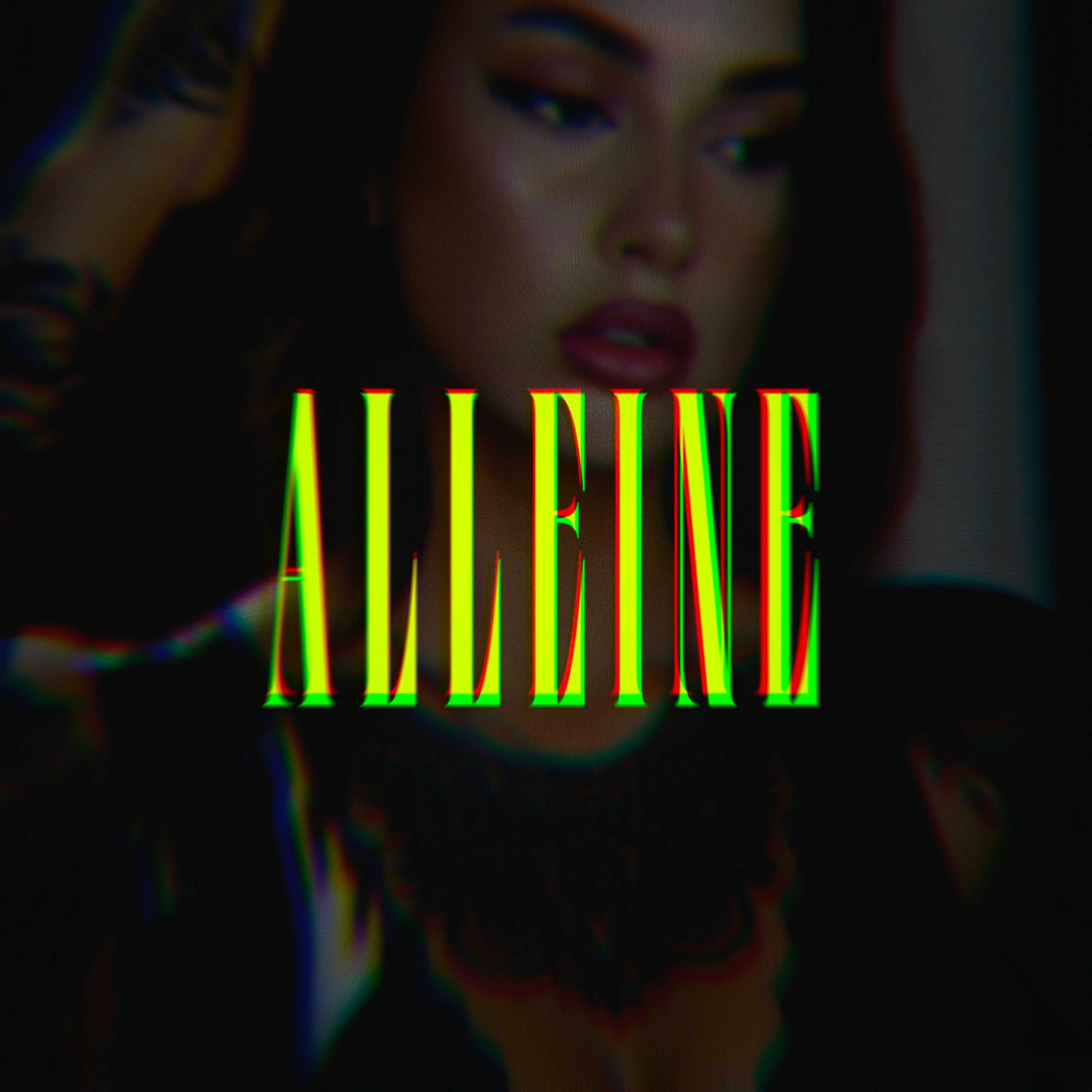 Album cover of Alleine