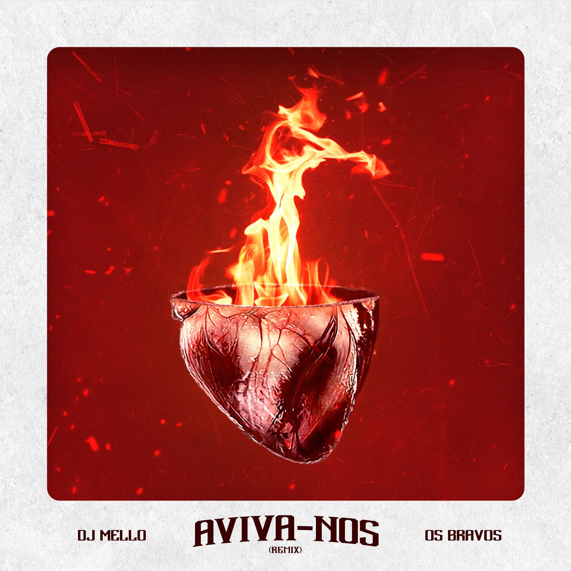 Album cover of Aviva-Nos