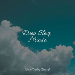 Cover of Deep Sleep Music