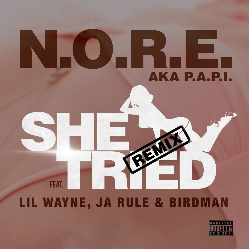 Picture of She Tried (feat. Lil Wayne, Ja Rule & Birdman) - Single