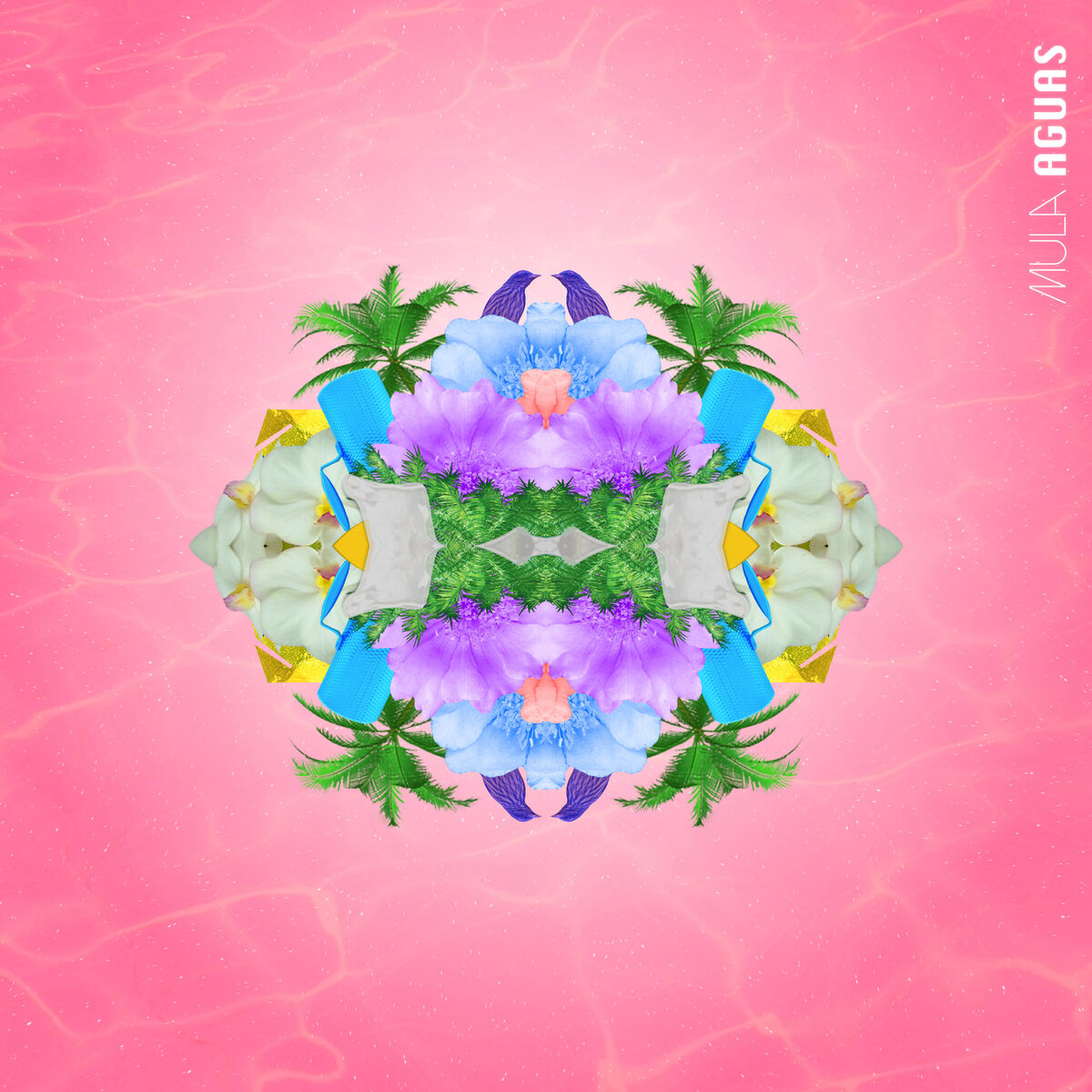 Album cover of Aguas