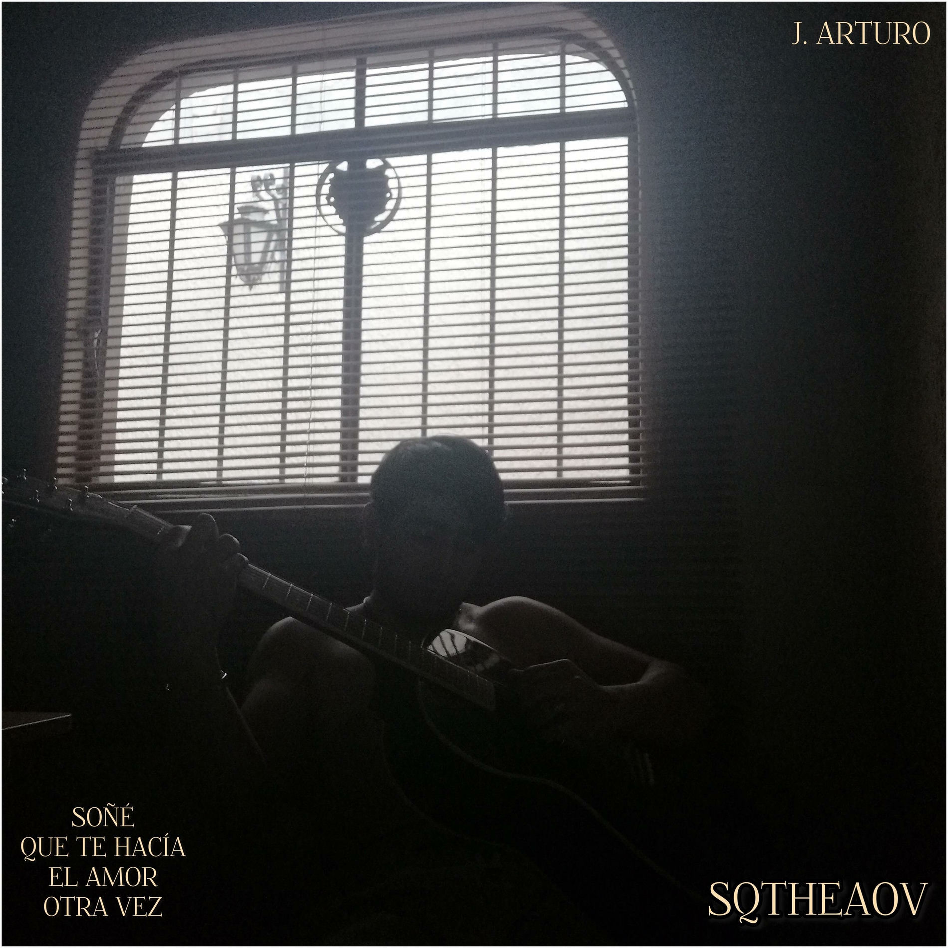 Album cover of Soñé Que Te Hacía El Amor Otra Vez (SQTHEAOV)