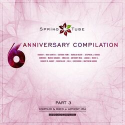 Cover of Spring Tube 6th Anniversary Compilation, Pt. 3 (Compiled and Mixed by Anthony Mea)