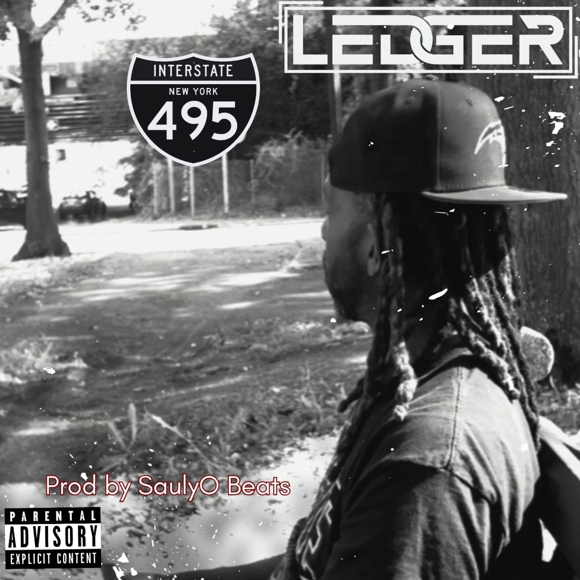 Album cover of 495