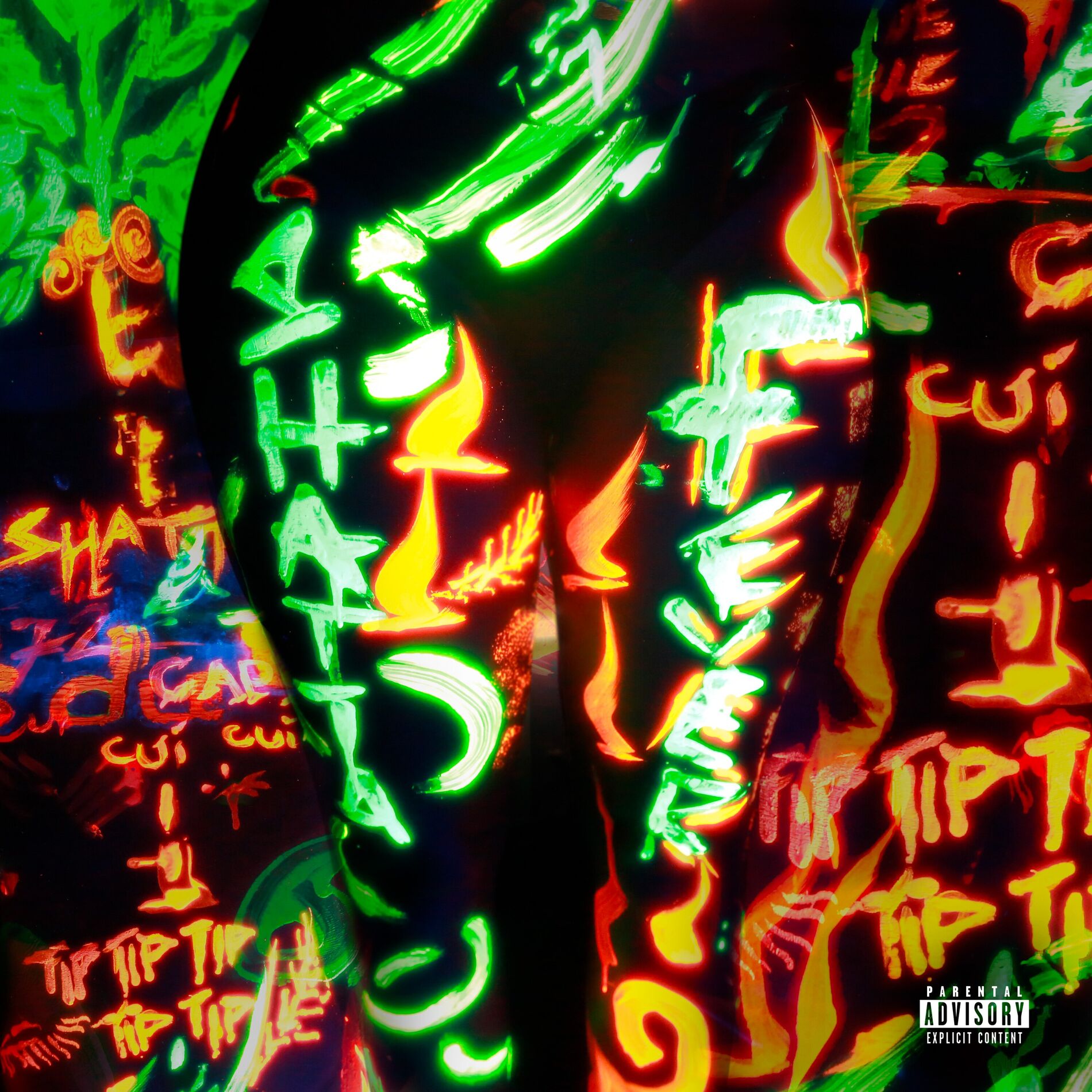 Album cover of Shatta Fever