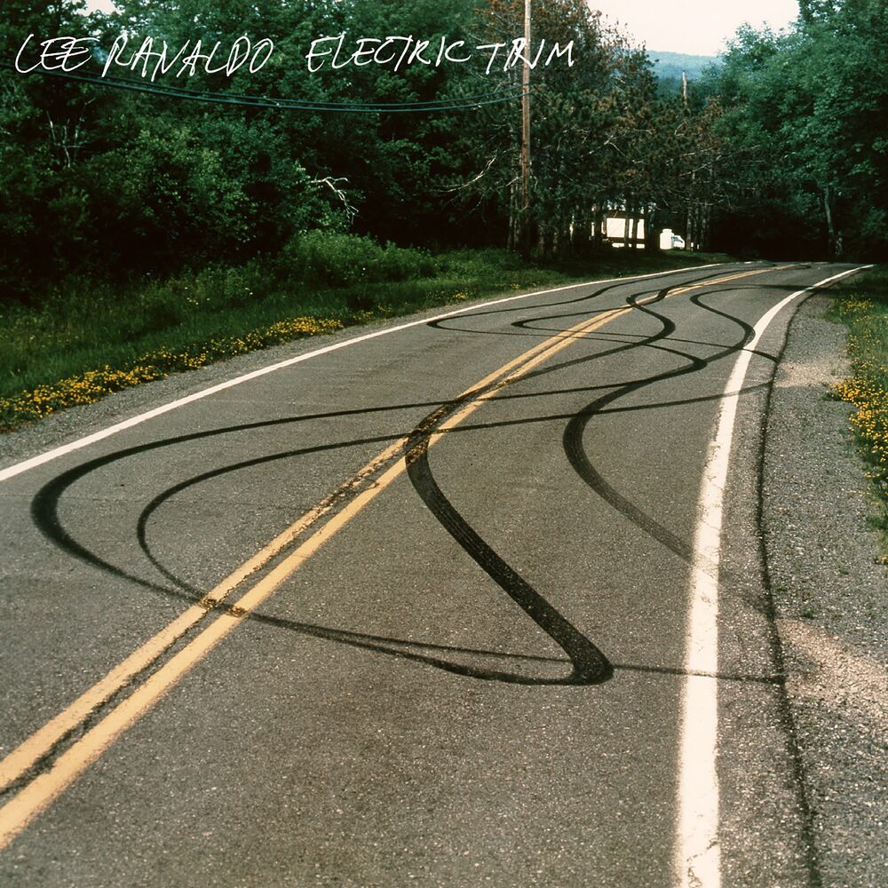 Picture of Electric Trim