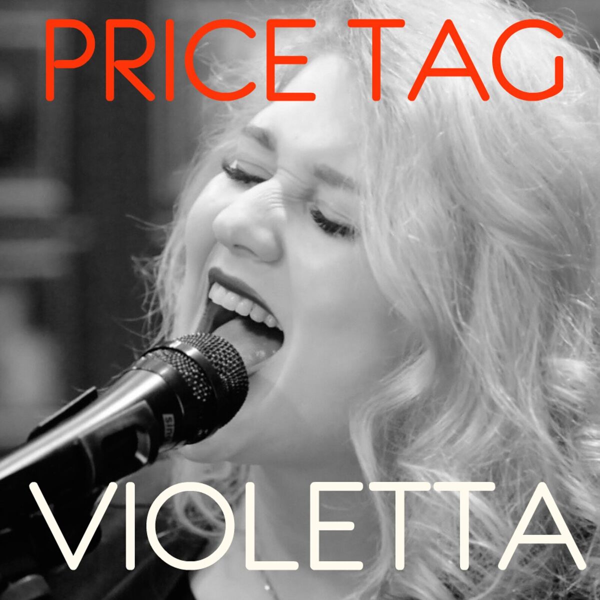 Album cover of Price Tag
