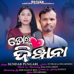 Cover of Tor Deewana