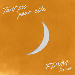 Tant pis pour elle (feat. Charlotte Cardin) (Remix)