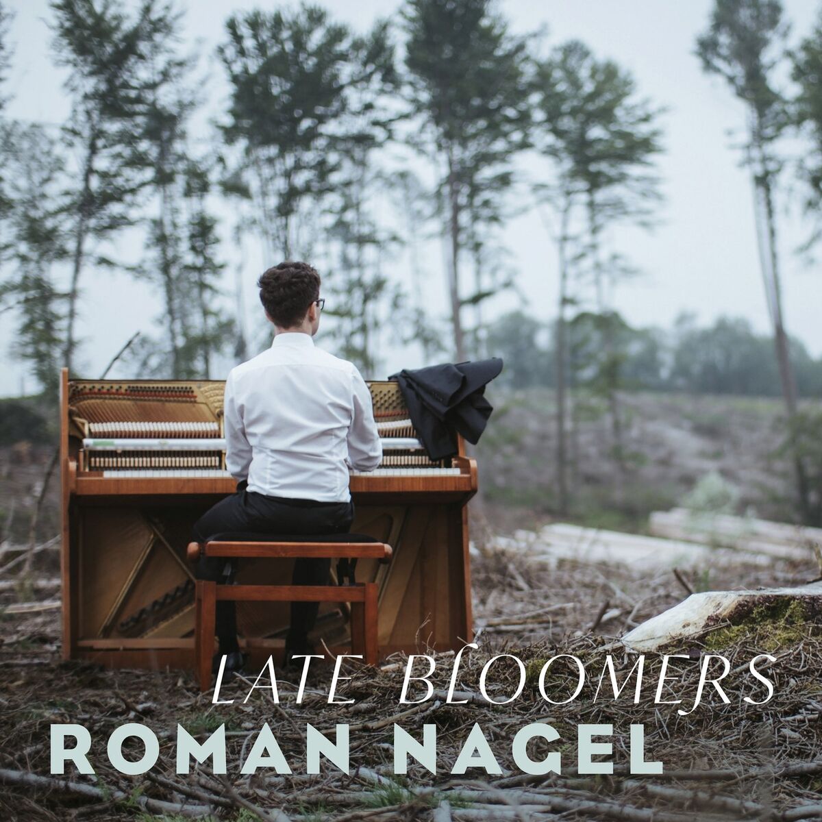 Album cover of Late Bloomers