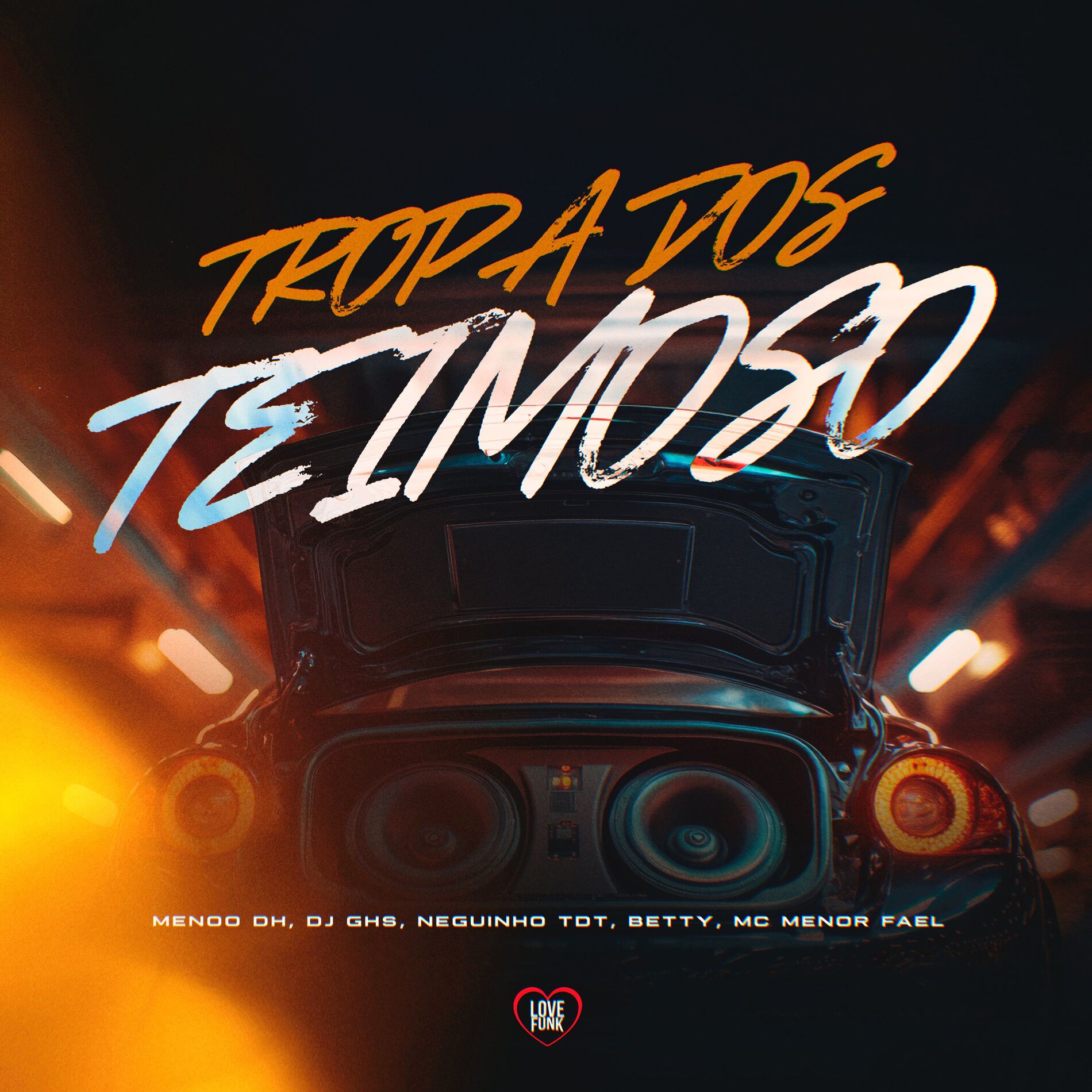 Album cover of Tropa dos Teimoso