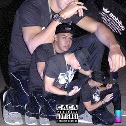 Cover of Caça