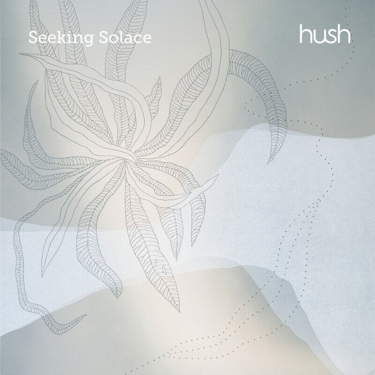 Album cover of Seeking Solace