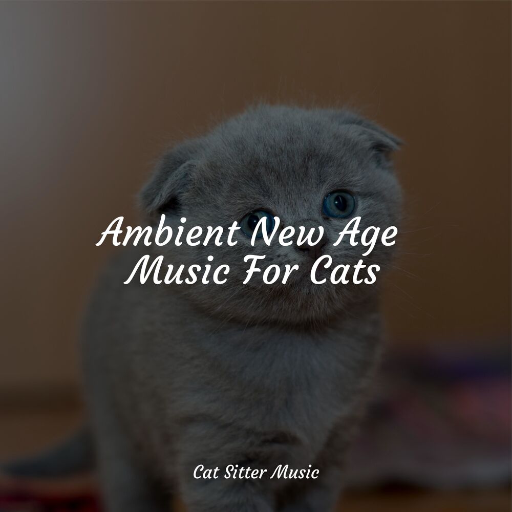 Picture of Ambient New Age Music For Cats