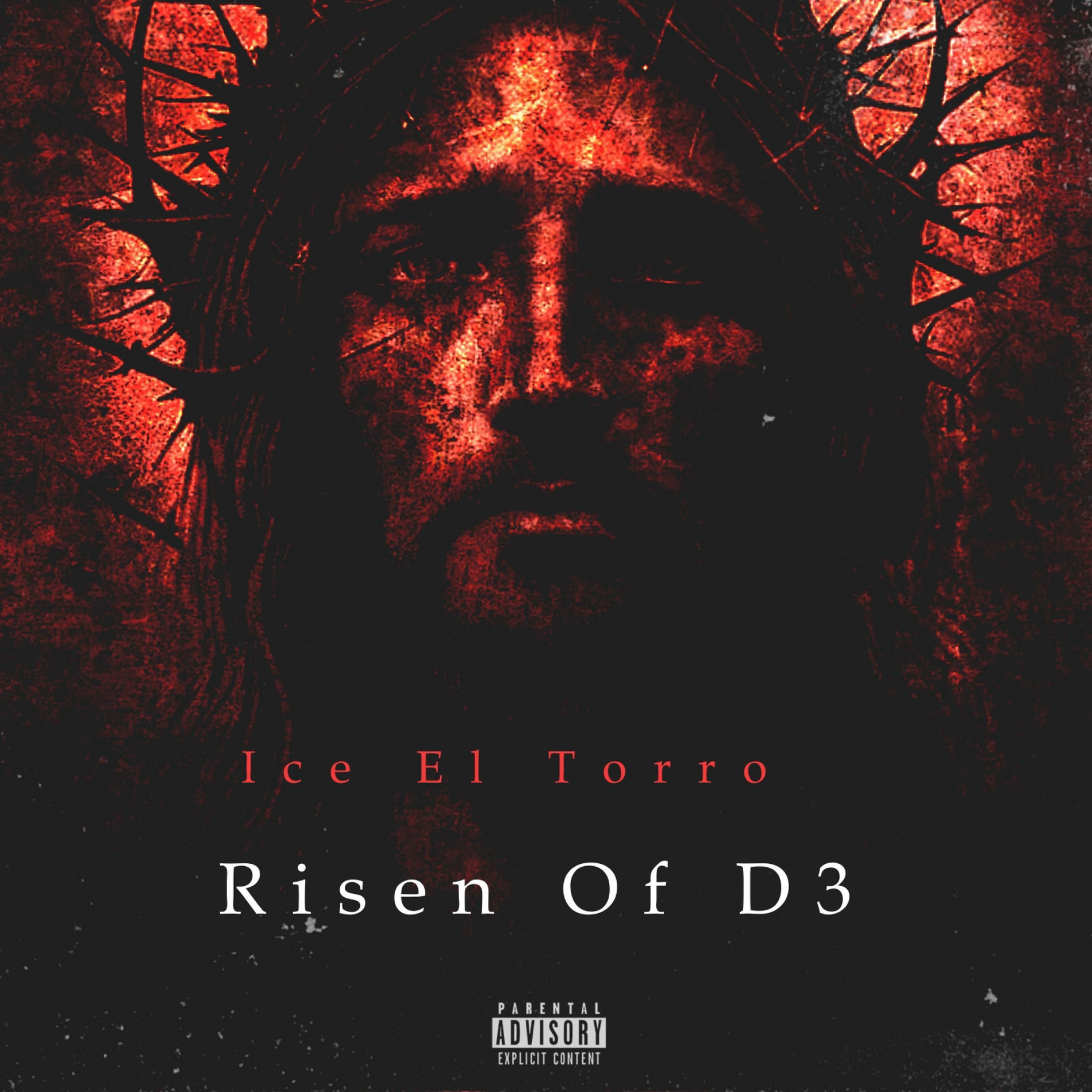 Album cover of Risen Of D3