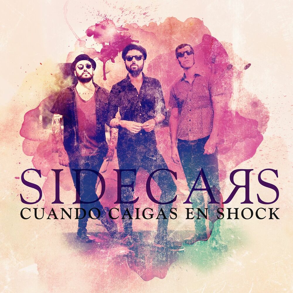 Picture of Cuando caigas en shock