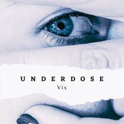 Cover of Underdose