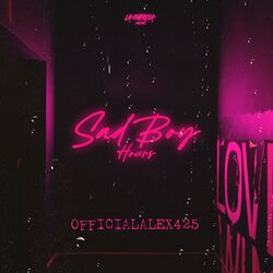 Cover of Sad Boy Hours
