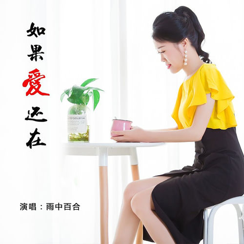 如果爱还在 (Dj小勤版)
