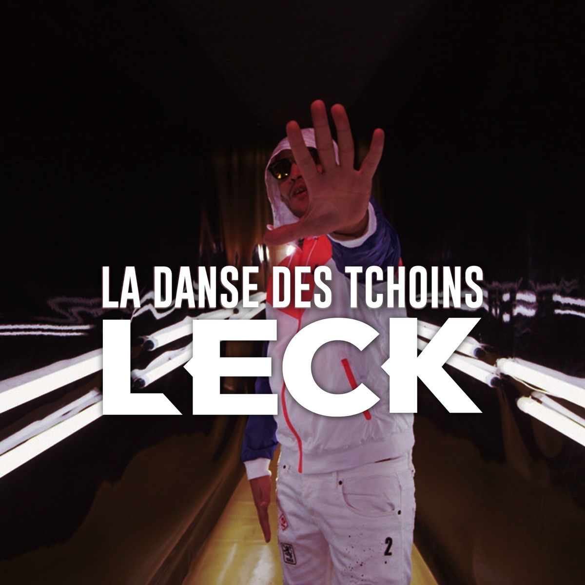 Album cover of La danse des tchoins