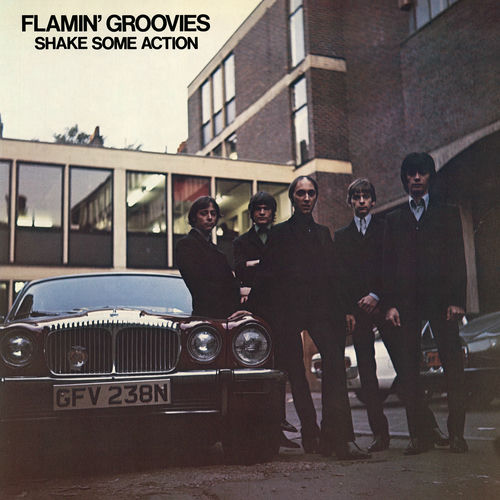★The Flamin' Groovies-Shake Some Action 500x500.jpg