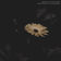 Hutchings: Whisper To Closeness by Sophie Hutchings album cover