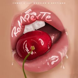 Cover of Romperte