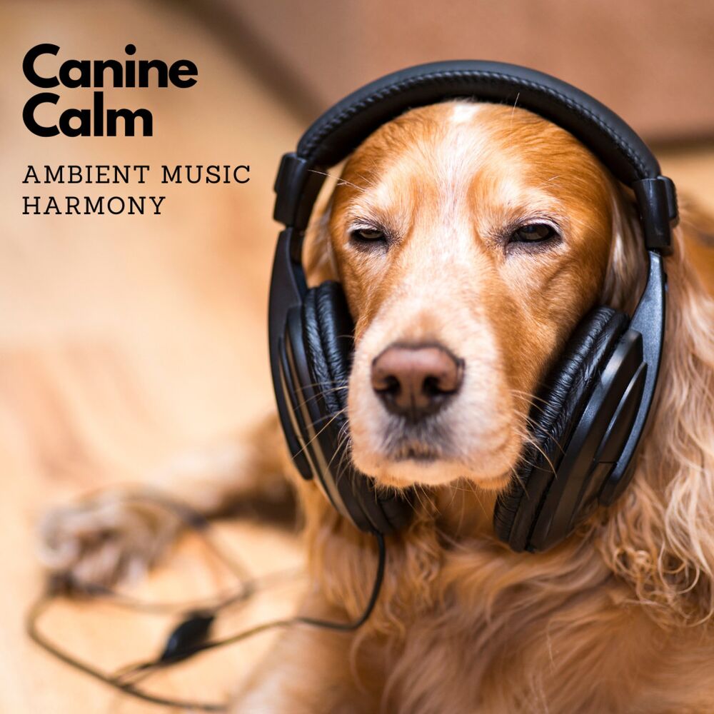 Picture of Canine Calm: Ambient Music Harmony