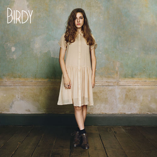 Shelter by Birdy