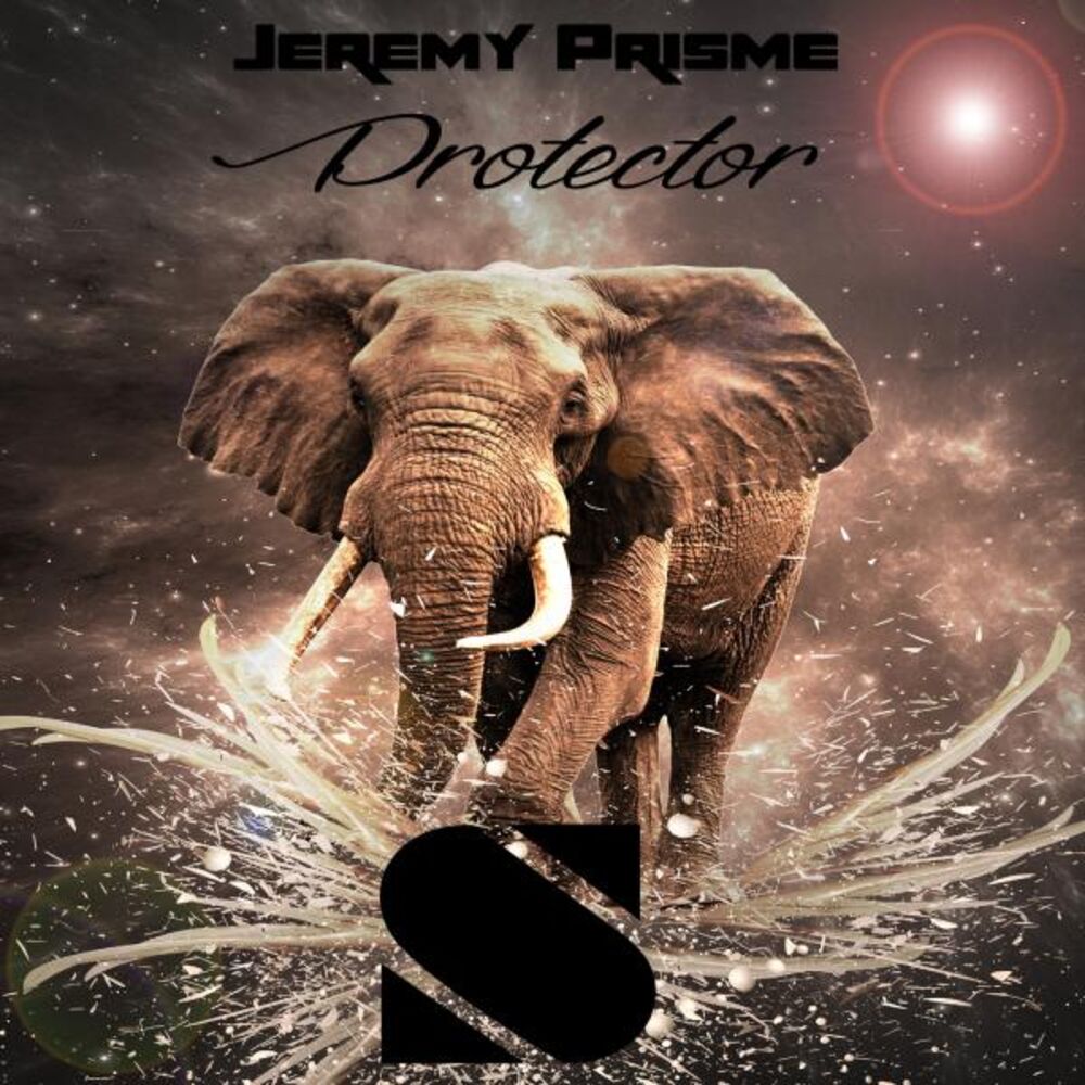 Picture of Protector