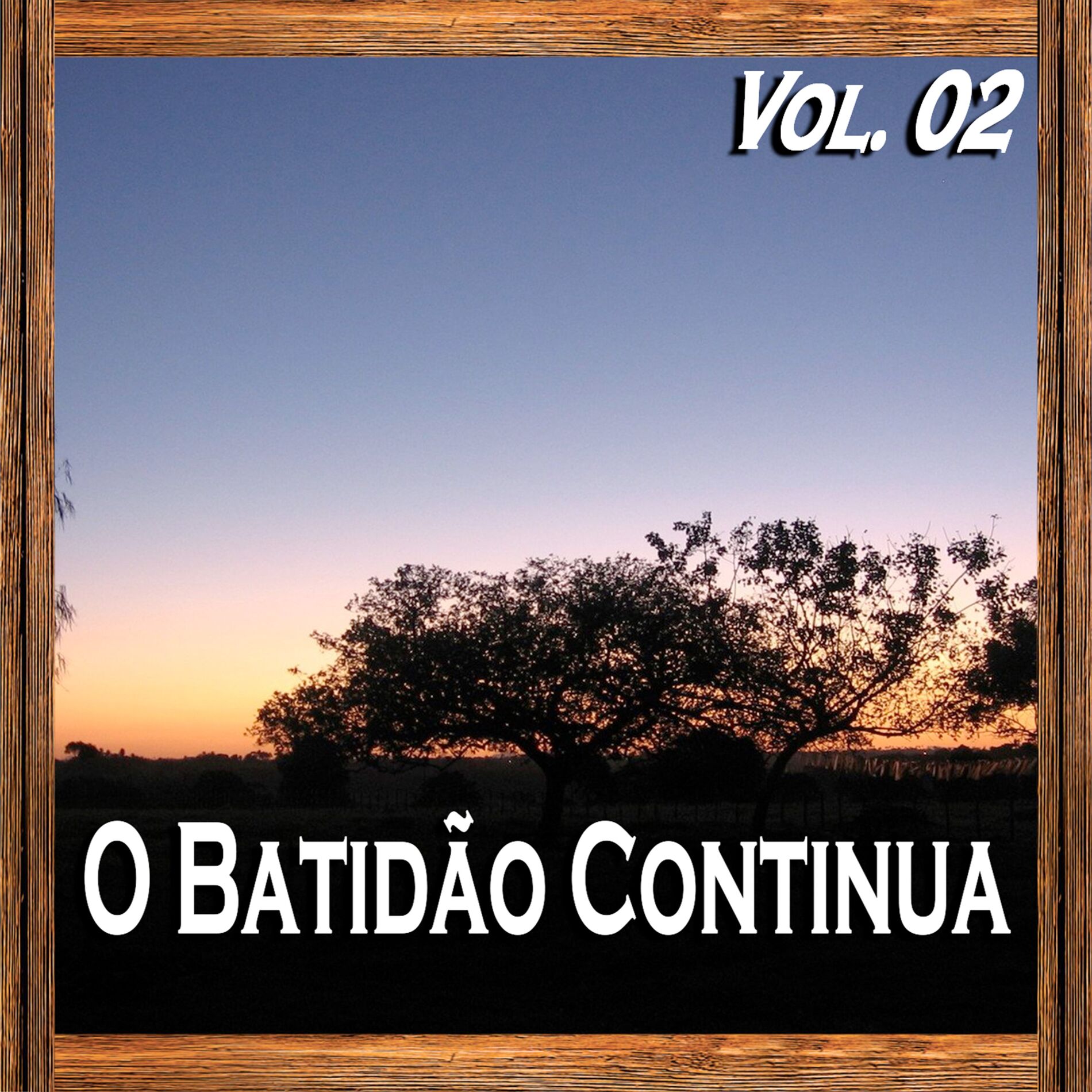 Album cover of O Batidão Continua, Vol. 02