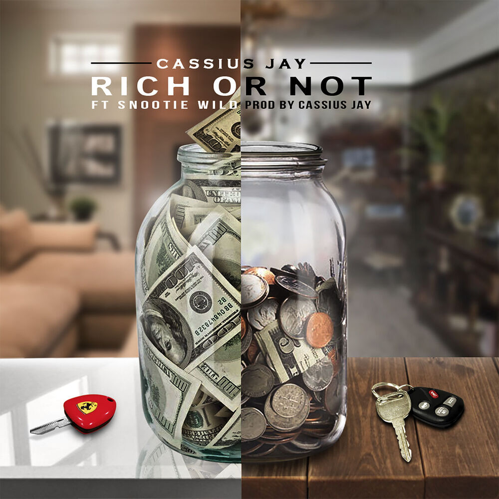 Picture of Rich or Not
