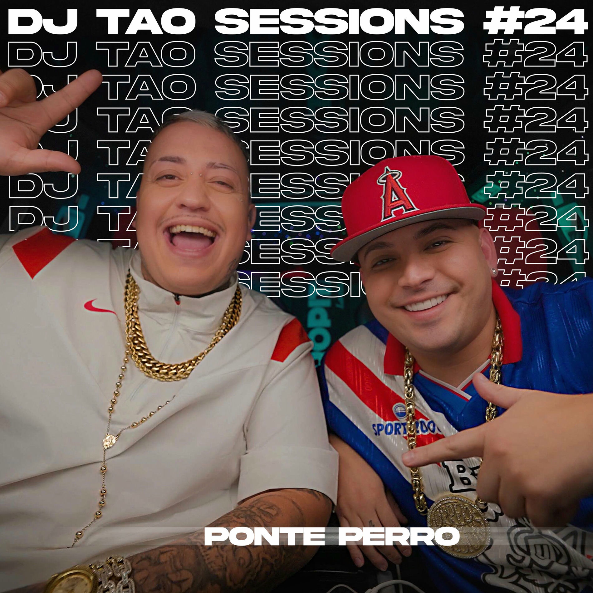 Album cover of PONTE PERRO | DJ TAO Turreo Sessions #24