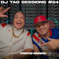 Cover of PONTE PERRO | DJ TAO Turreo Sessions #24