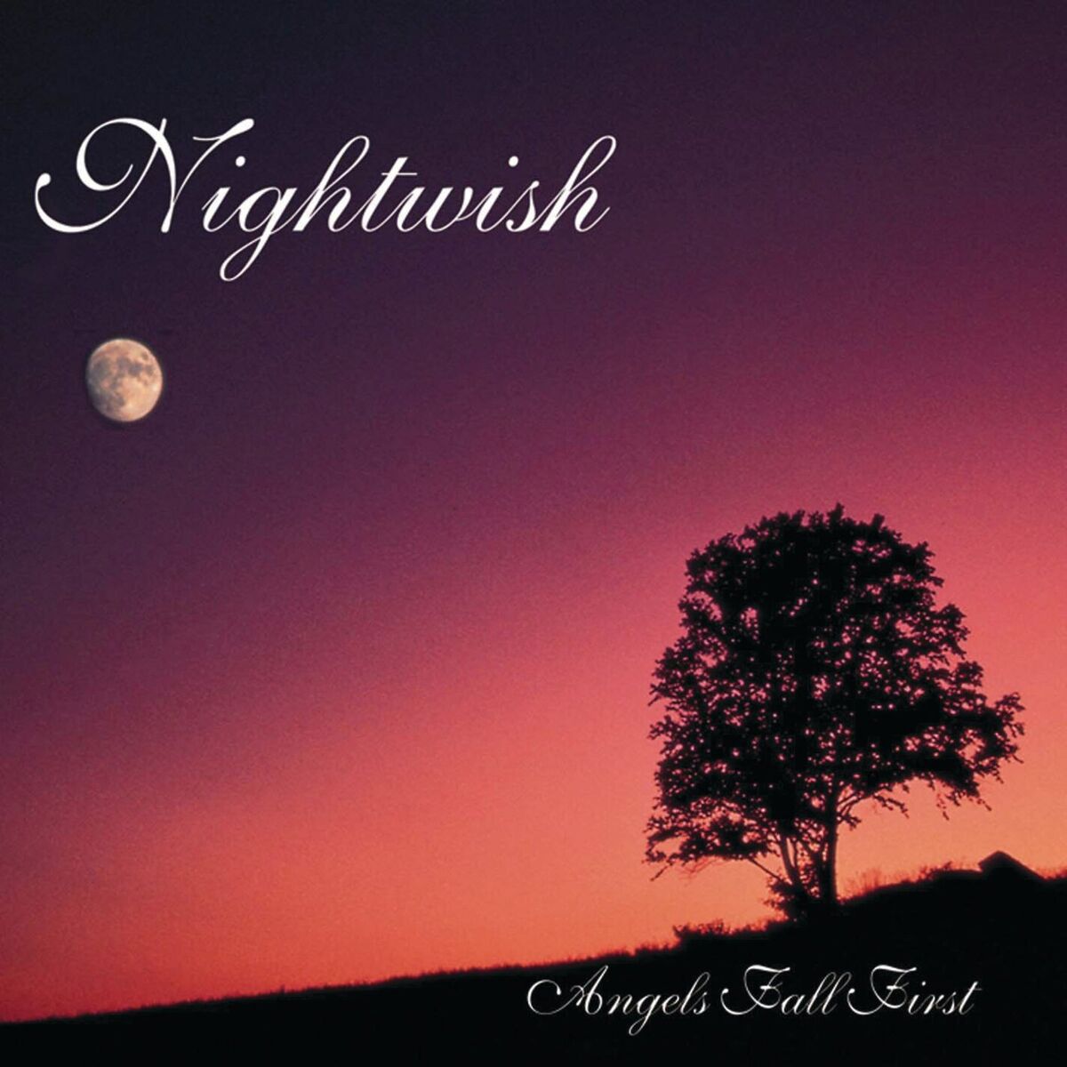 Album picture of Angels Fall First