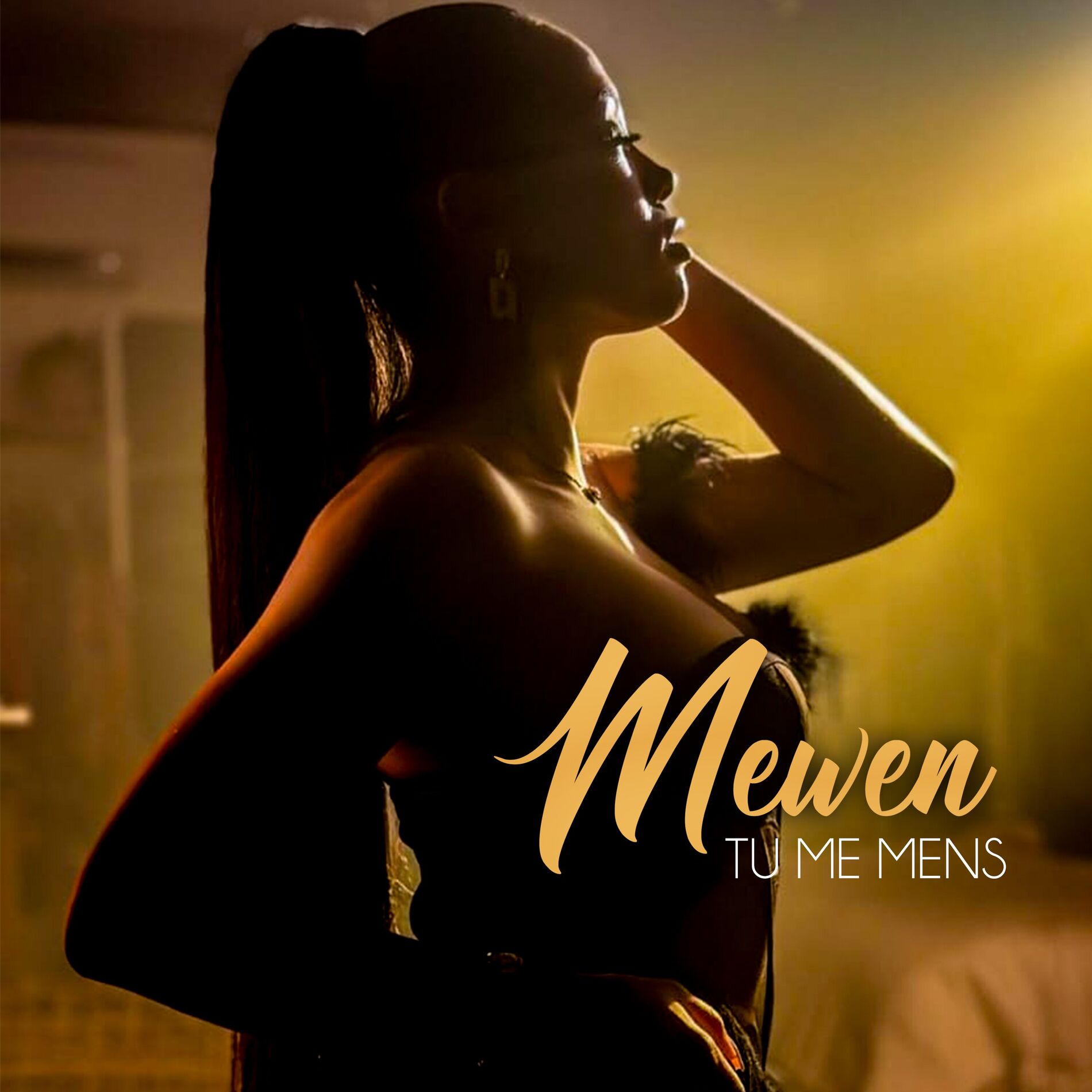 Album cover of Tu me mens