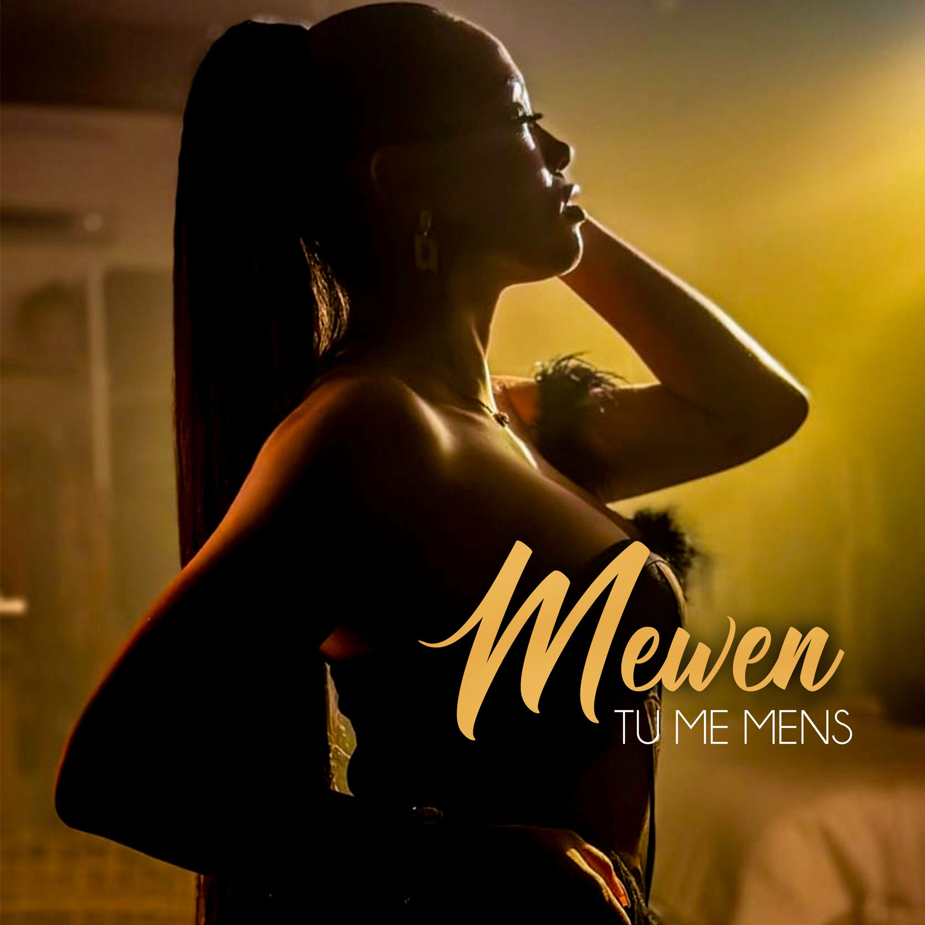 Album cover of Tu me mens