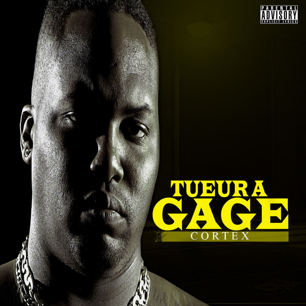 Picture of Tueur A Gages