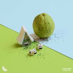 Cover of Human