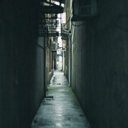 Cover of zawameki