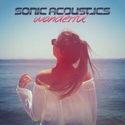 Cover of Wonderful