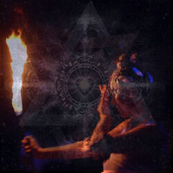 Cover of Beginnings