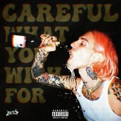 Cover of Careful What You Wish For