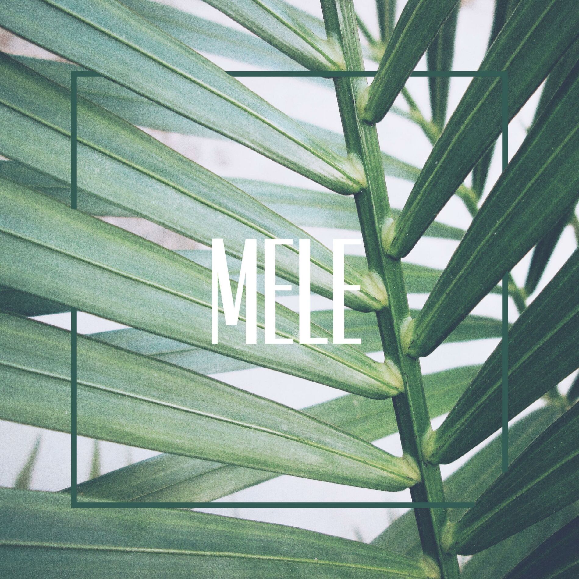Album cover of MELE